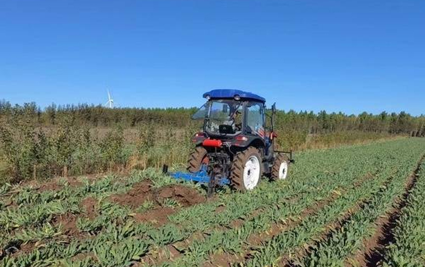 产销一体化全面提速 “寒地龙药”驶入产业发展快车道